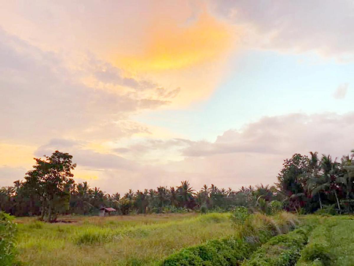 Shivananda Antique Villas By Eps Ubud  Luaran gambar