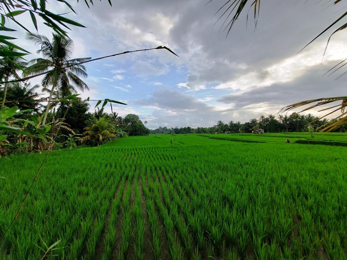 Shivananda Antique Villas By Eps Ubud  Luaran gambar